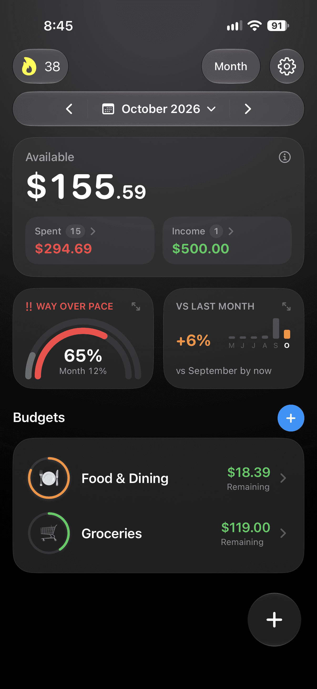 BudgetIQ monthly budget overview